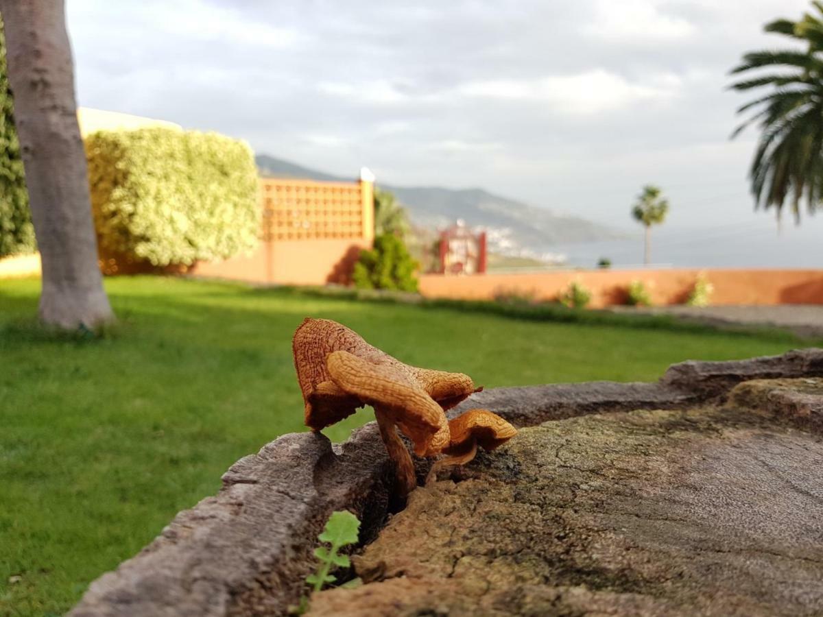 Casa Cruz Pensionat Breña Baja Eksteriør billede